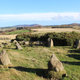 Illustration for article titled Stonehenge-Like Circle Discovered in Scotland Not Ancient, Just Really Good 1990s Fan Art